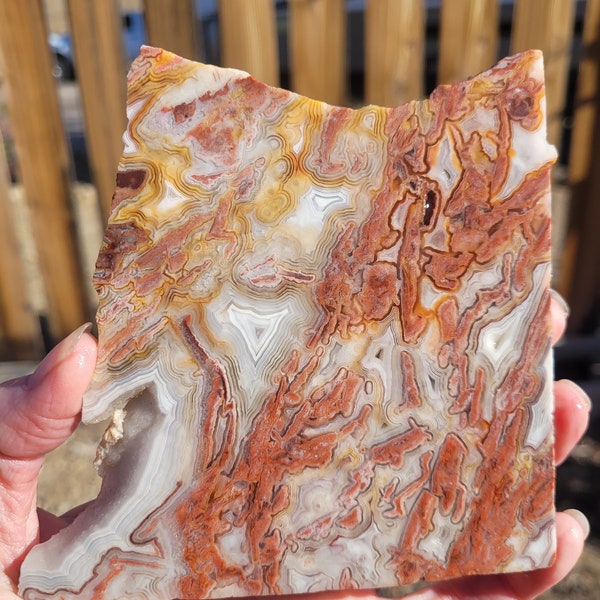 Crazy lace agate slab