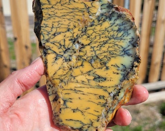 Beautiful dendritic opal slab