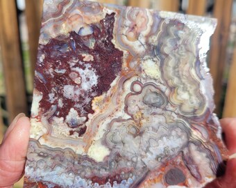 Crazy lace agate slab