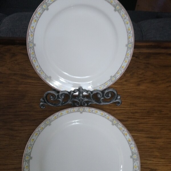 Limoges "Elite Works"France. 2 dinner plates