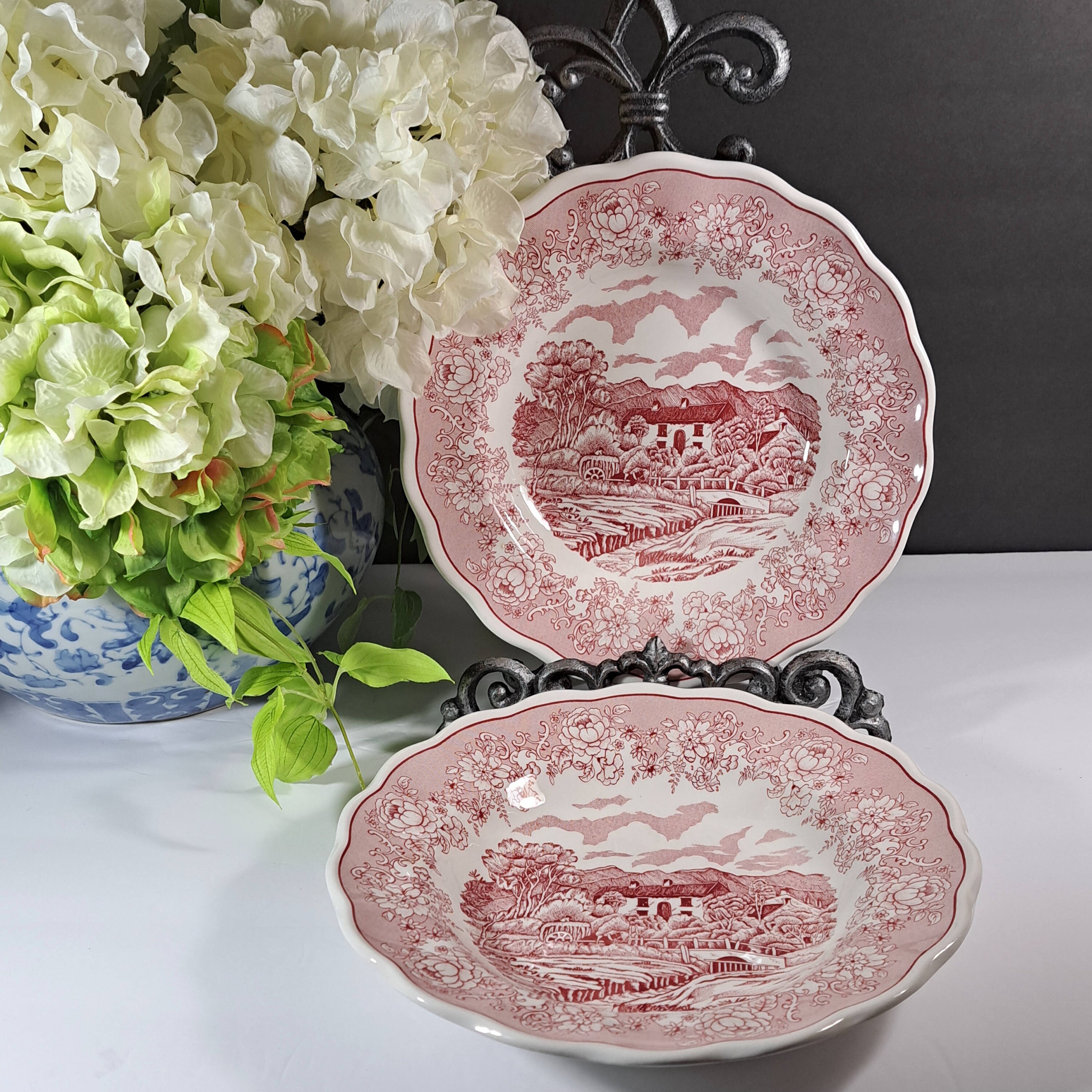 Swiss Landscape Soup/salad Plate. Dishwasher Proof, Made in Italy