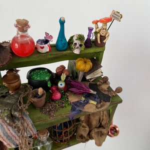 Puede incluir: Un estante de madera verde en miniatura con una variedad de artículos de temática de Halloween, que incluyen un caldero, una calavera, una botella de líquido rojo, una botella con una cara azul, un hongo con una cara y un letrero que dice "Amanita Muscaria".