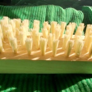 Multi Purpose Ixtle Brush~ Maguey Fiber~100% natural~Biodegradable~Plant Fiber~Plastic Free~Animal Part Free~