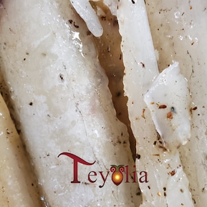 Authentic Copal Blanco from Sustainable Trees-Pure -White Copal Tree Resin-Traditional  Medicine