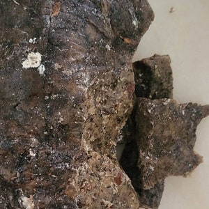 Rare Sacred WIxarika Copal Resin ~ Huichol ~Ceremonial Copal