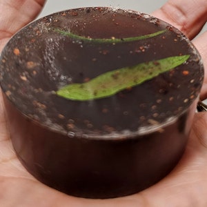 Jabon de Pirul y Copal ~ Limpia Soap ~ All Natural Soap~ Ancestral