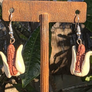 May include: A pair of dangle earrings featuring miniature corn cobs with brown textured kernels and cream-colored husks. The earrings are attached to silver-toned metal fishhook wires, designed to hang vertically from a display stand.