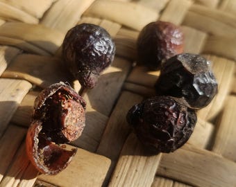Sapindus Saponaria ~ Natural Soap Nut Seeds (5) ~Amolli ~ Jaboncillo ~ Pipe ~ Oaxaca, Mexico