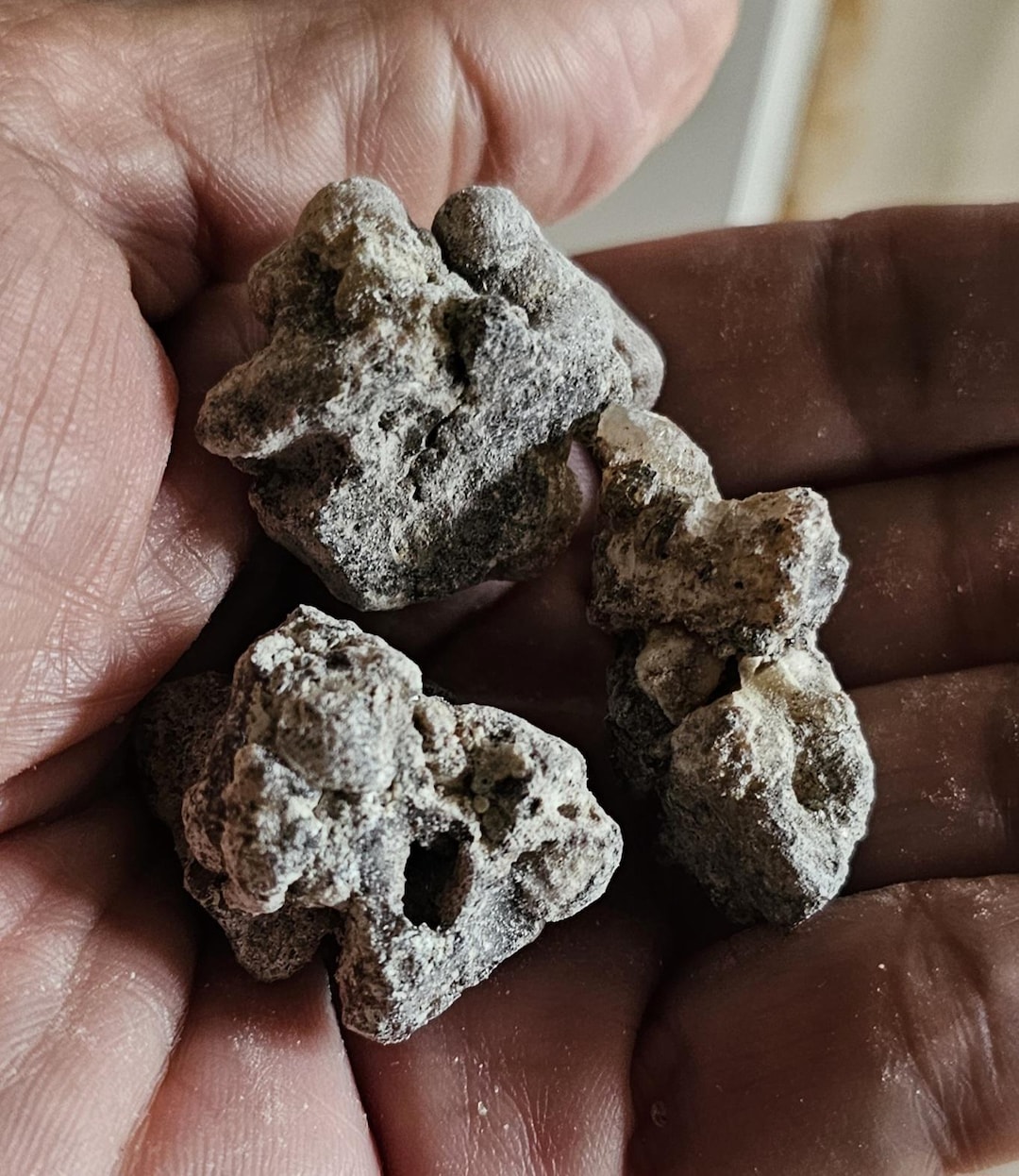 Authentic Copal Negro From Mexico- Black Copal- Ceremonial - Gathered ...