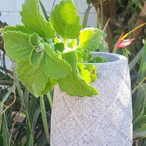 Volcanic Stone Planter ~ Volcanic Stone Sculpture from Popocatepetl Volcano in Mexico