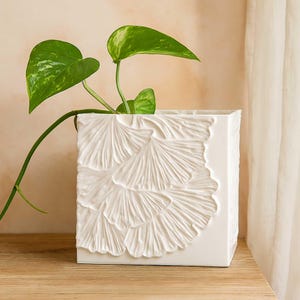 May include: A square, white ceramic planter with a raised, fan-shaped leaf design. The planter holds a green plant with heart-shaped leaves. The planter sits on a wooden surface, with a neutral background and a white curtain.