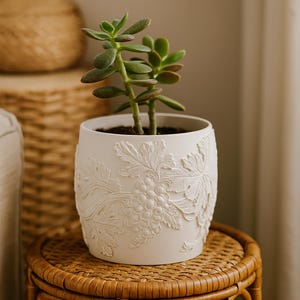 May include: A white ceramic planter with a detailed relief design of grapes and leaves. The planter holds a small succulent plant with green leaves. The planter is sitting on a woven wicker table.