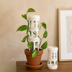 Moth Plant Support Garden Trellis  3D Printing STL File