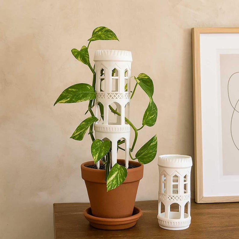 Moth Plant Support Garden Trellis 3D Printing STL File image 1