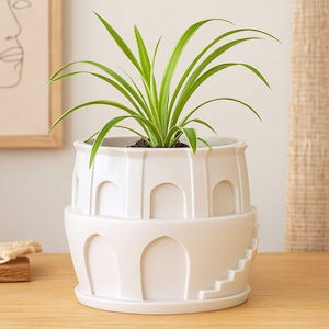 May include: A white ceramic plant pot with an architectural design, featuring arched openings and a staircase detail. The pot contains a green plant with long, slender leaves. The pot is approximately 20 cm in height.
