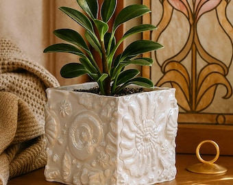 Puede incluir: Una maceta cuadrada de cerámica blanquecina con diseños de conchas marinas en relieve, que contiene una planta verde con hojas. La maceta está sobre una superficie de madera, con un portaanillos dorado en el fondo.