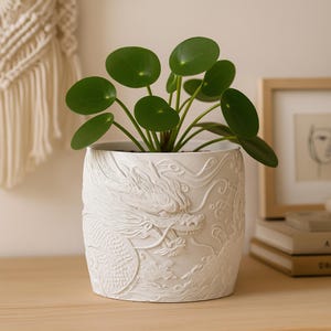 May include: A white ceramic planter with a detailed dragon relief design, holding a green plant with round leaves. The planter sits on a wooden surface, with a macrame wall hanging and framed art in the background.