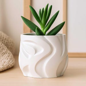Może przedstawiać: Mała, biała ceramiczna doniczka z falistym, teksturowanym wzorem. Doniczka zawiera żywą zieloną roślinę sukulentową. Doniczka ma średnicę około 10 cm i wysokość 10 cm, idealna na biurko lub parapet.