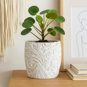 May include: A Pilea peperomioides plant in a white, textured ceramic pot with a floral and leaf design. The plant has round, green leaves and is placed on a wooden surface. A framed line drawing and macrame wall hanging are in the background.