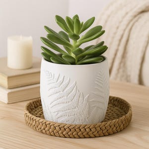May include: A white ceramic planter with embossed fern leaf designs, holding a green succulent plant. The planter sits on a round woven tray. A lit candle and books are in the background.