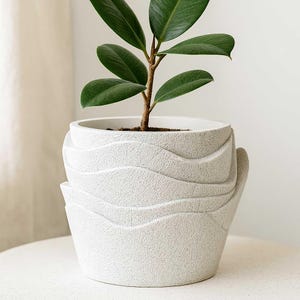 May include: A small green plant with large leaves in a textured, off-white ceramic pot. The pot has a unique wave-like design and is sitting on a white surface. The plant's stem is brown.