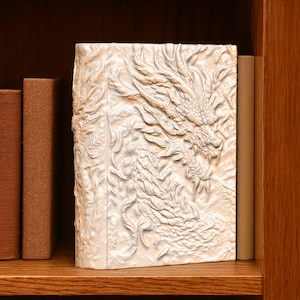 Dragon Book Nook STL File: Fantasy Shelf Decor Storage Box 3D Printable Digital Download