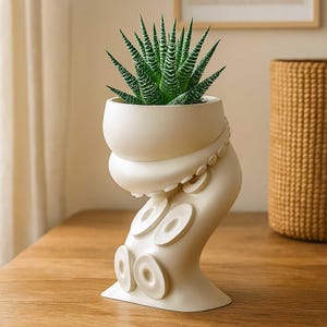 Könnte beinhalten: Ein cremefarbener Keramik-Blumentopf in Form eines Oktopus-Tentakels, der eine grün-weiß gestreifte Sukkulentenpflanze enthält. Der Topf hat eine abgerundete Oberseite und einen Sockel mit kreisförmigen Details. Der Topf steht auf einer Holzoberfläche.
