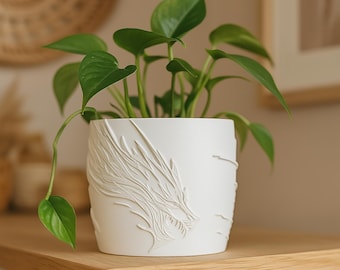 Puede incluir: Una maceta de cerámica blanca con un diseño detallado de dragón. La maceta contiene una planta de hojas verdes, creando un contraste de colores. La maceta está sobre una estantería de madera.