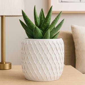 3D Print STL File: Modern Plant Pot Planter - Support-Free Digital Download