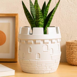 May include: A white, castle-shaped planter with a green and yellow snake plant. The planter has a textured, brick-like design on the lower portion and arched window details. The top edge has a crenelated design.