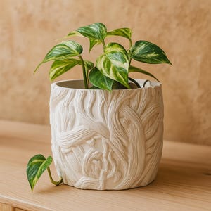 May include: A white ceramic plant pot with a detailed tree bark design, holding a green and yellow pothos plant. The plant has heart-shaped leaves. The pot sits on a wooden surface.
