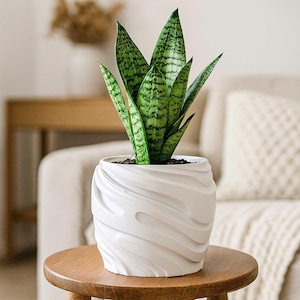 Op de afbeelding: Een slangplant in een witte keramische pot met een gestructureerd, golfachtig ontwerp. De plant heeft groen en geel gestreepte bladeren. De pot staat op een kleine, ronde houten tafel, met een neutrale achtergrond.