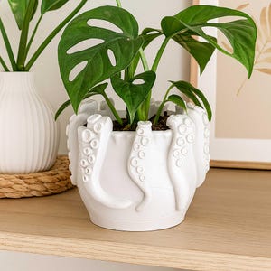 STL - Pot de tentacule de poulpe - Jardinière 3D unique sans support pour plantes succulentes, décoration marine