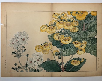 Original Woodblock Print by Tanigami Konan, 1917 / 444