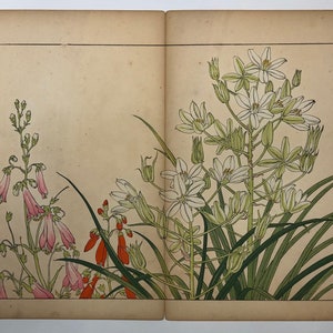 Original Woodblock Print by Tanigami Konan, 1917 / 439