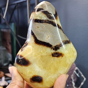 Septarian Flame - Large | Beautiful intense color | Natural