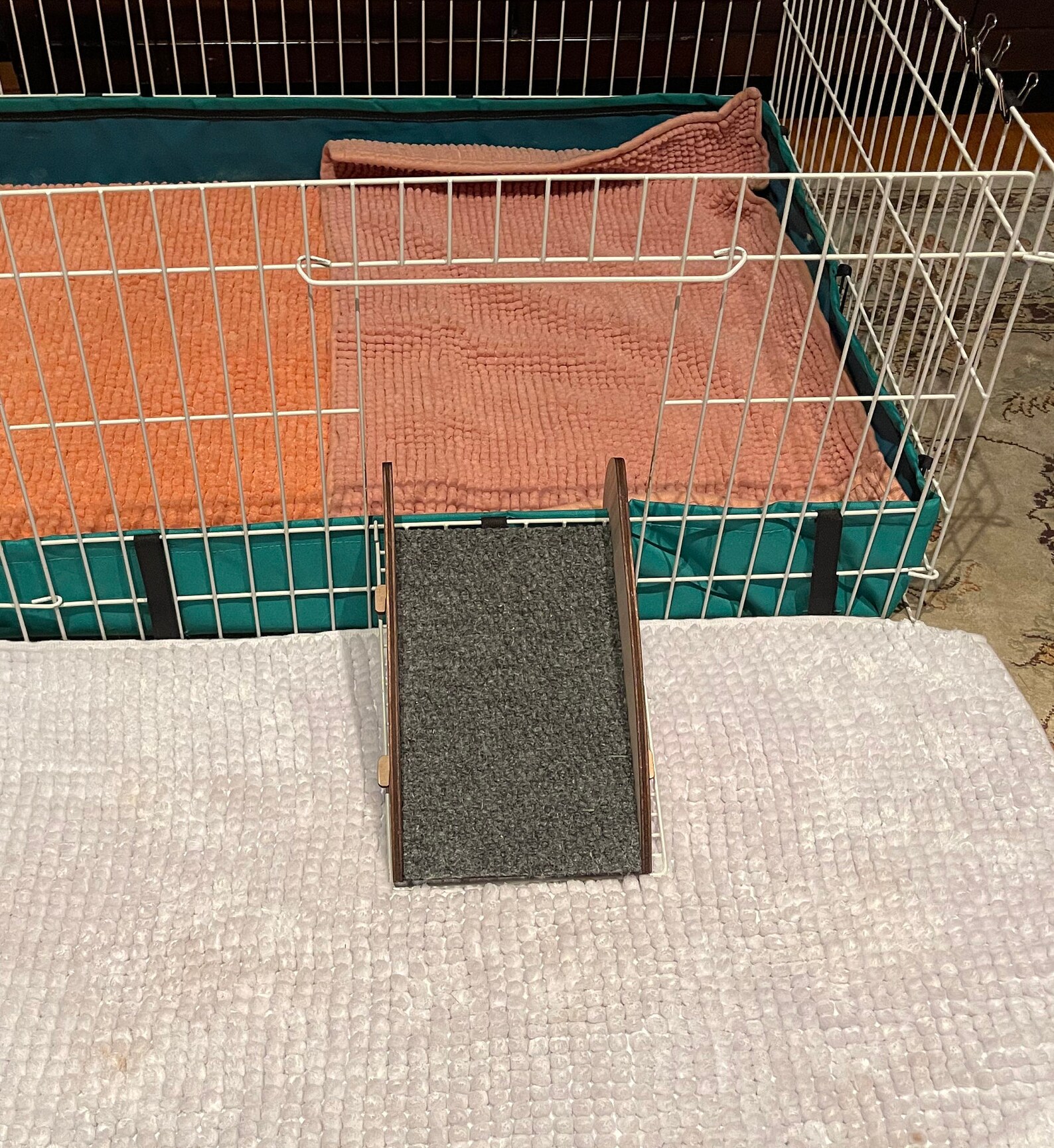 Small Cage Ramp Etsy