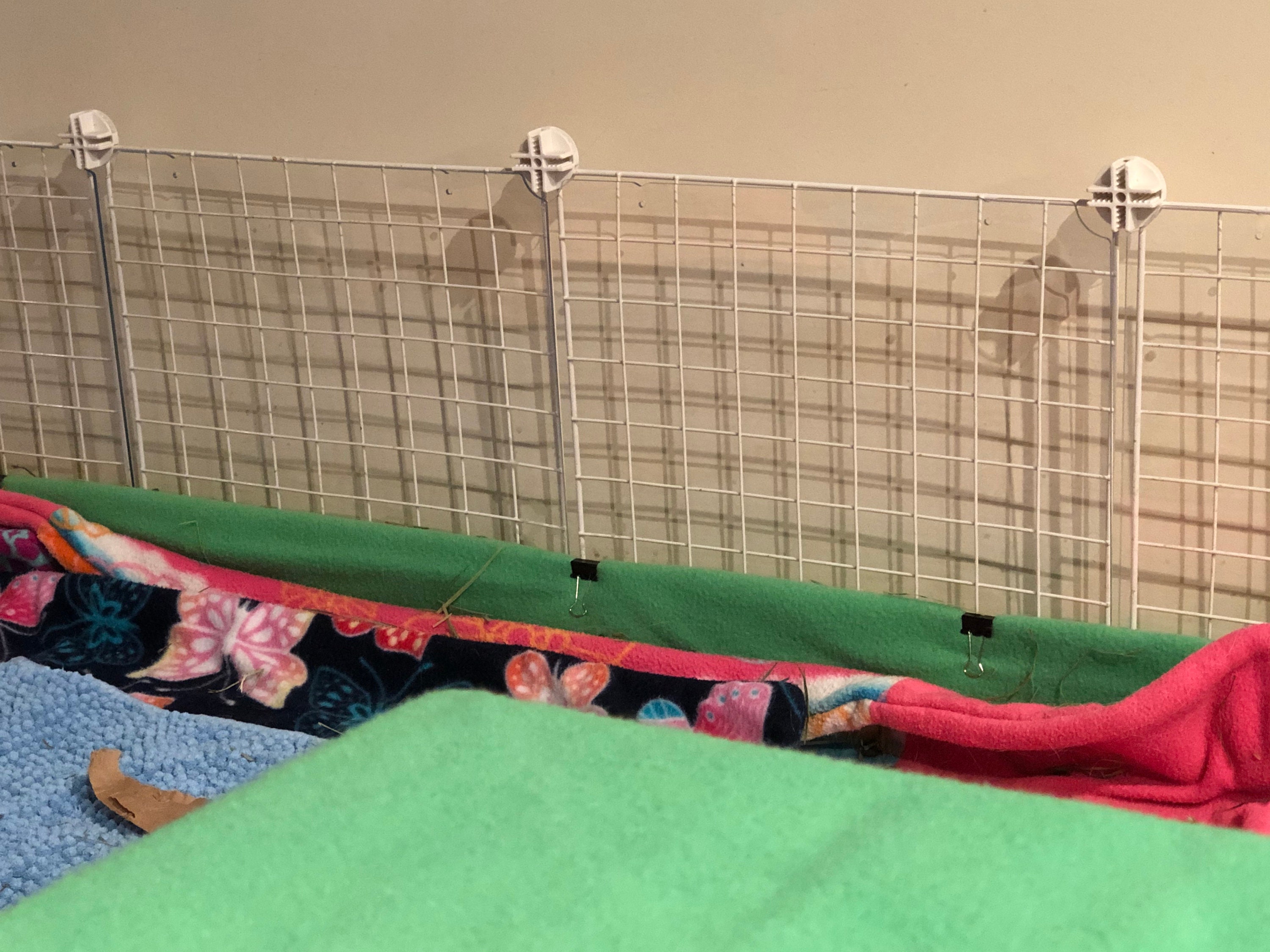 Plexiglass Pee Guard pour cages C & C Etsy