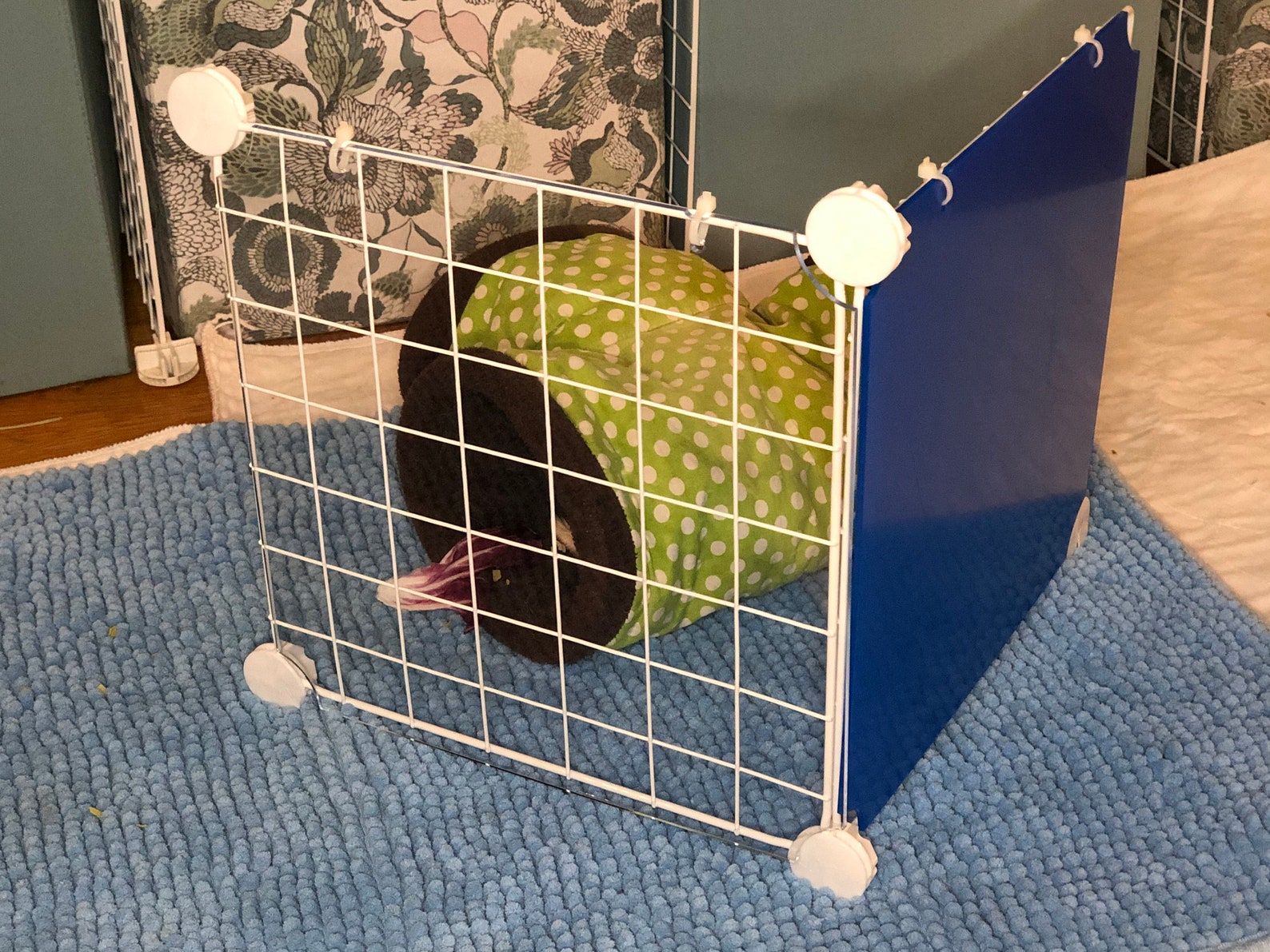 Plexiglass Pee Guard pour cages C & C Etsy