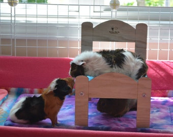 Small Guinea Pig Bed