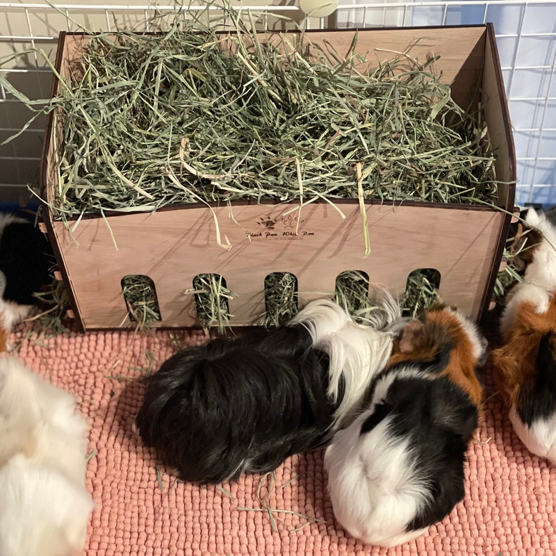 Rabbit Hay Feeder - Etsy