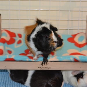 The Original - Loft Bed