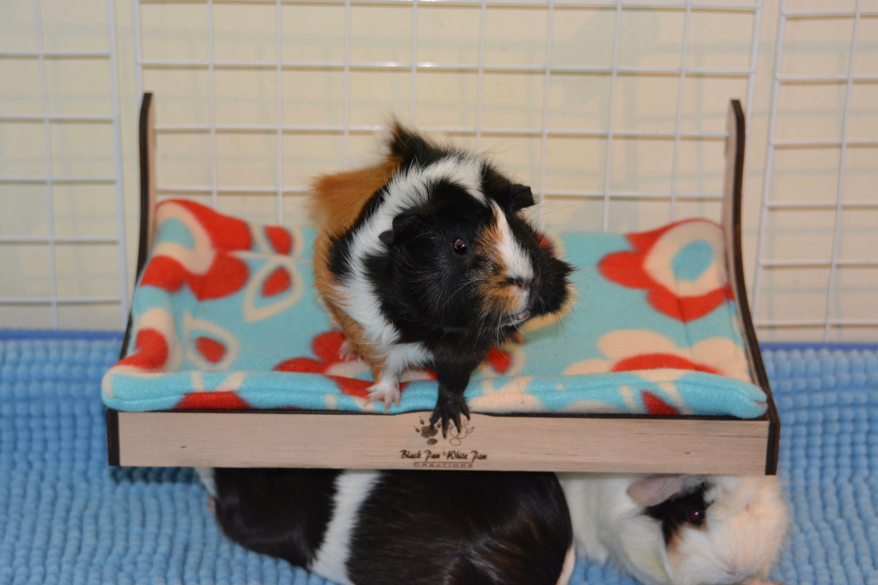 The Original - Loft Bed