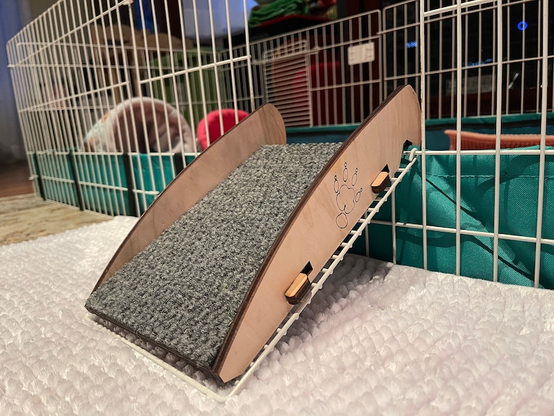 Small Cage Ramp Etsy