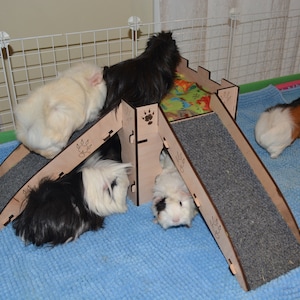 The Original - Abbie Corner with two Ramps