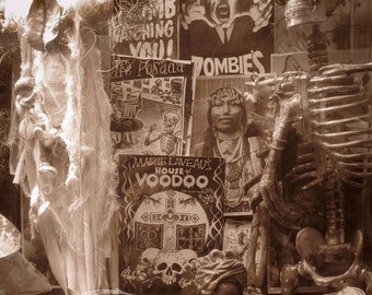Marie Laveau House of Voodoo Shop Window Skeletons Photograph, New Orleans French Quarter Photography