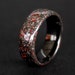 see more listings in the Meteorite Only section