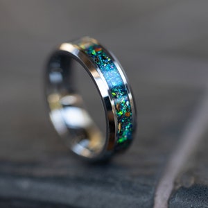 Meteorite Ring and Velociraptor Ring with Real Velociraptor Bone, Men's Tungsten Wedding Band 6mm