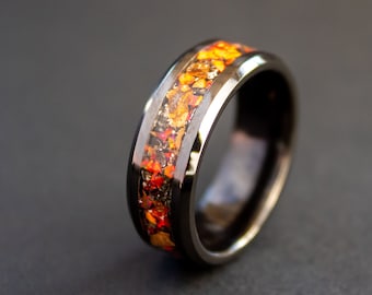 Velociraptor Dinosaur Bone Ring and Gibeon Meteorite Ring made with Meteorite and Dinosaur Bone