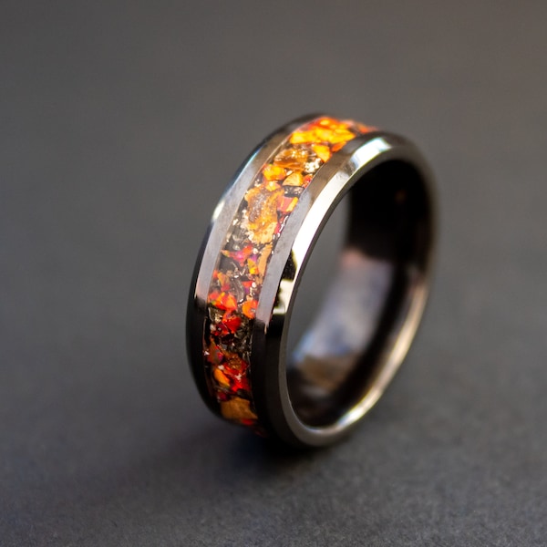 Velociraptor Dinosaur Bone Ring and Gibeon Meteorite Ring made with Meteorite and Dinosaur Bone